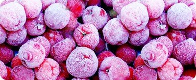 Как правильно заморозить фрукты в морозильной камере