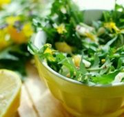 Салат из одуванчиков - простое вегетарианское блюдо