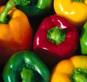 Как выращивать сладкий перец и чили дома