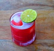 Готовим дома терновый джин