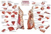 Разделка говядины
