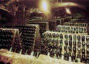 Игристые испанские вина - Кава (Cava)