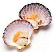 Морские гребешки