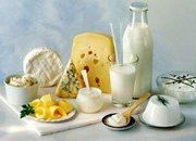 Молочные продукты в заведениях питания