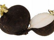 Какие самые распространенные сорта редьки