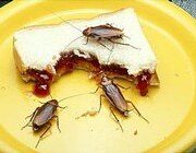 Стоит ли с безопасностью ходит в кафе?