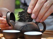 Как правильно заваривать чай "Пуэр"