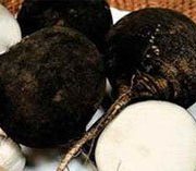 Черная редька - заготовка впрок