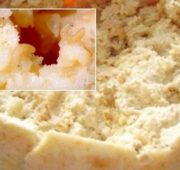Сыр «Casu Marzu» и «Навозный гриб» - блюда для настоящих кулинарных гурманов